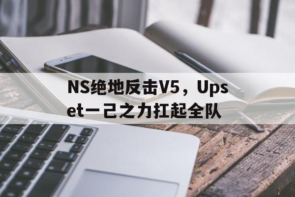爱游戏官方入口-NS绝地反击V5，Upset一己之力扛起全队的简单介绍